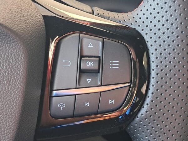 Ford Puma 1.0 EcoBoost 125cv mHEV S&S Powershift ST-Line - Image 19